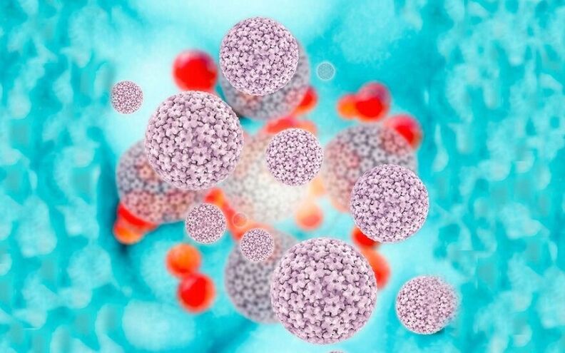 فيروس الورم الحليمي البشري المسبب للأورام الحليمية على الشفرين